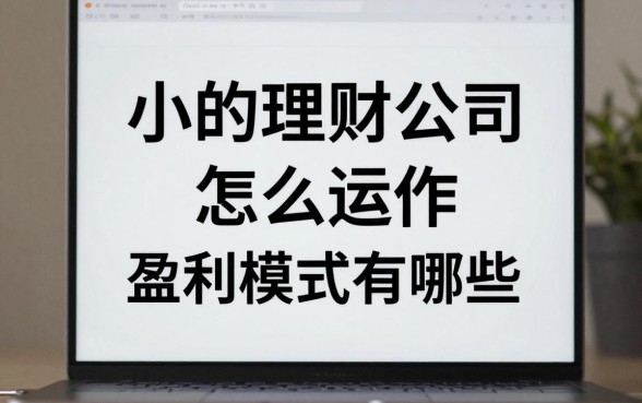 小的理财公司怎么运作,小理财公司盈利模式有哪些