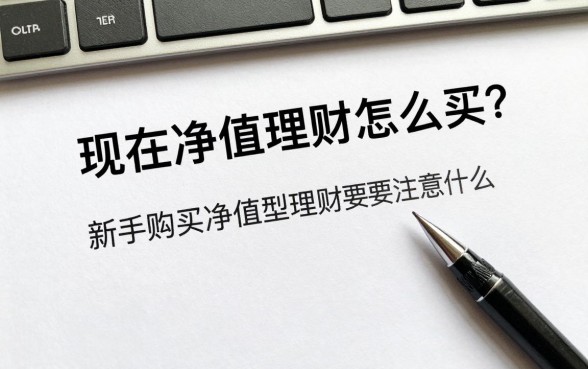 现在净值型理财怎么买?新手购买净值型理财要注意什么