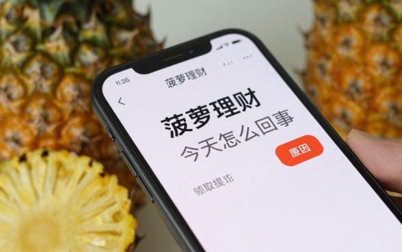 菠萝理财今天怎么回事,菠萝理财无法登录原因及最新消息