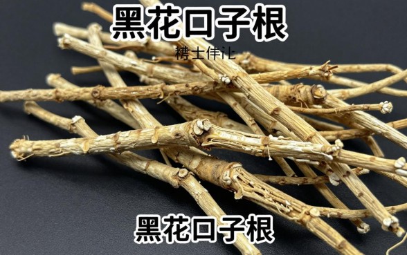 黑花口子根图片作用与功效是什么，黑花口子根有什么药用价值