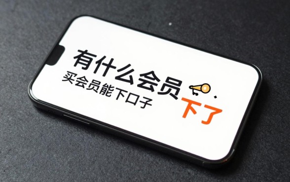 有什么买会员能下的口子,哪些平台买会员可以下款?