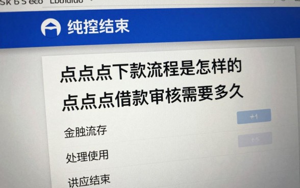 点点点下款流程是怎样的,点点点借款审核需要多久