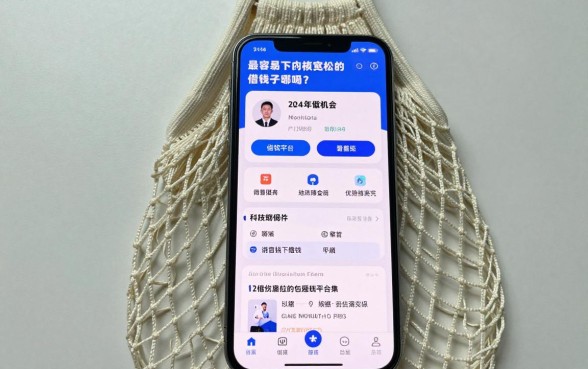 最容易下的网袋小口子有哪些?盘点2024年审核宽松的借钱平台
