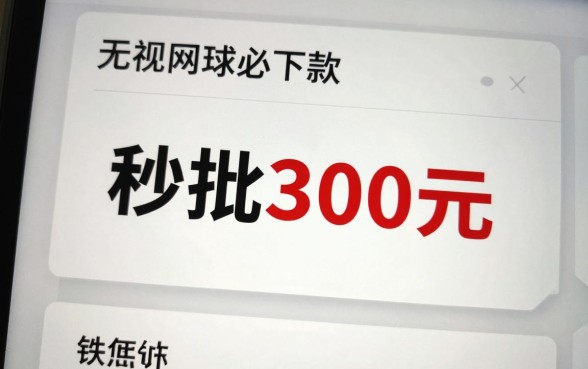 秒批300元的新口子真的吗?2024年最新无视风控必下款推荐