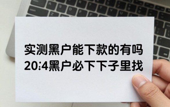 实测黑户能下款的口子真的有吗,2024黑户必下口子哪里找