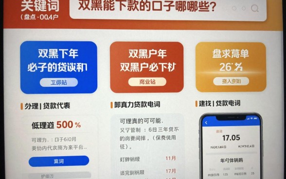 双黑能下款的口子有哪些？盘点2024年双黑户必下的贷款平台