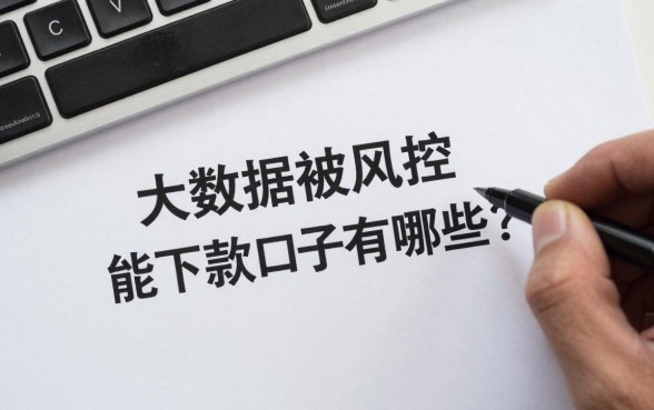 大数据被风控能下款的口子有哪些？大数据风控哪里还能借到钱