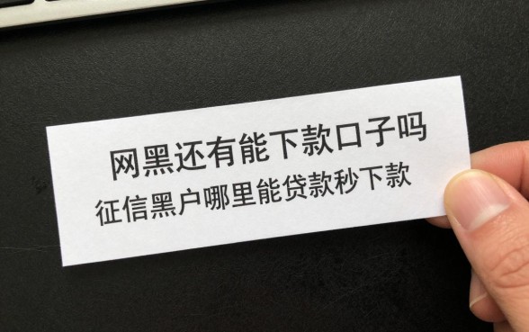 网黑还有能下款口子吗,征信黑户哪里能贷款秒下款