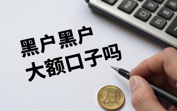 黑户必下款的大额口子真的有吗,征信黑户哪里能借到大额资金