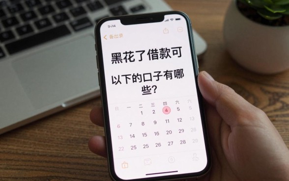 黑花了借款可以下的口子有哪些?征信黑户花户哪里能借到钱?