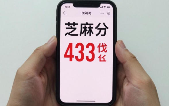 芝麻分433黑户贷款能通过吗？哪里有靠谱的口子可以下款