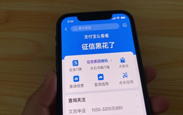支付宝怎么看征信黑花了?查询方法详解