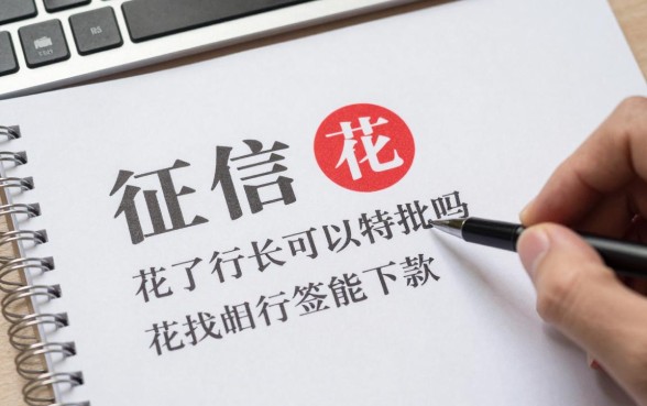 征信花了行长可以特批吗,征信花找行长签字能下款吗