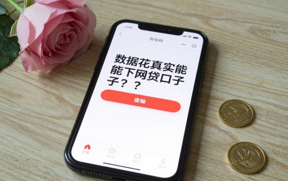数据花真实能下的网贷口子有哪些？大数据花哪里能借到钱