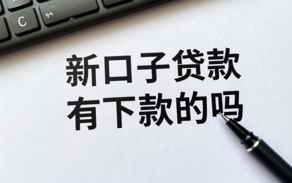 新口子贷款有下款的吗，2024年新口子贷款真的能下款吗？