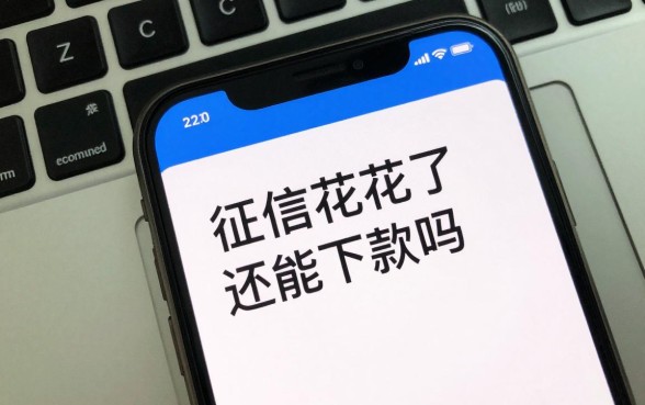 征信花了新呗还能下款吗,征信花哪里可以贷款急用