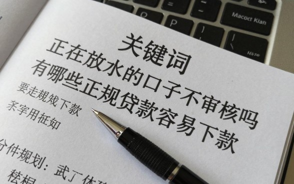 正在放水的口子不审核吗,有哪些正规贷款容易下款
