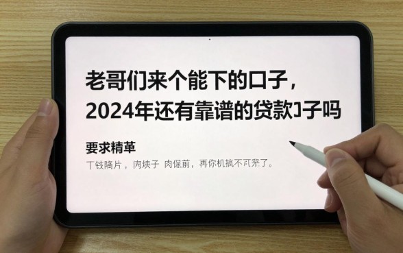老哥们来个能下的口子，2024年还有靠谱的贷款口子吗？