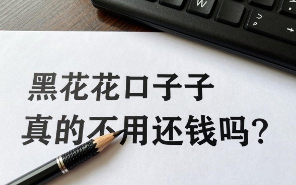 黑花口子真的不用还钱吗?不还款会有什么严重后果?