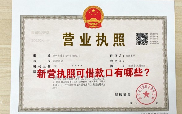新营业执照可借款口子有哪些？新办营业执照哪里能贷款