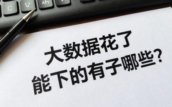 大数据花了能下的口子有哪些？大数据花了哪里还能借到钱？