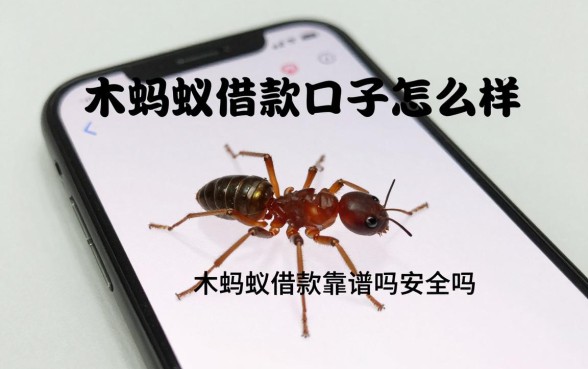 木蚂蚁借款口子怎么样，木蚂蚁借款靠谱吗安全吗