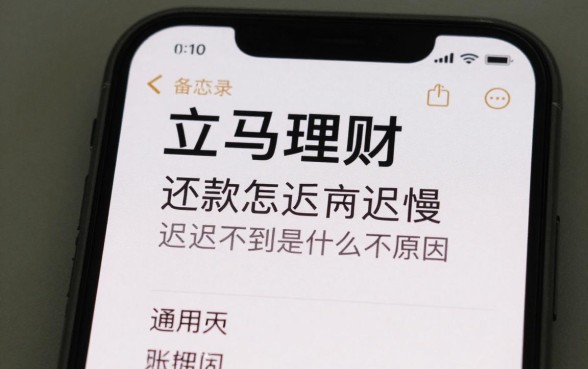 立马理财还款怎么这慢，立马理财还款迟迟不到账是什么原因