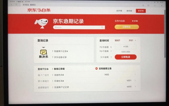 怎么查京东白天逾期记录,京东白条逾期记录查询方法详解