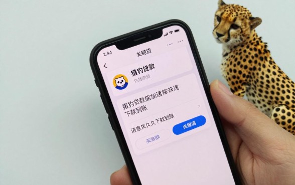 猎豹贷款能快速到账吗，猎豹贷款多久能下款到账