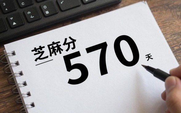 芝麻分570贷款口子有哪些,570分哪里能下款容易通过