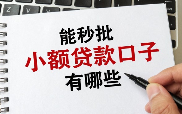能秒批的小额贷款口子有哪些，2024年最容易通过的小额贷款推荐