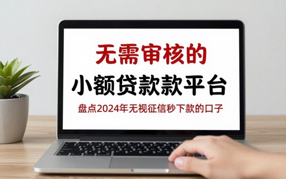 无需审核的小额贷款平台有哪些?盘点2024年无视征信秒下款的口子