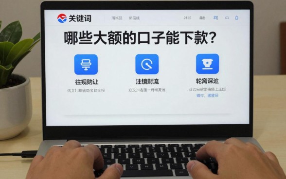 哪些大额的口子能下款？2024年正规大额贷款平台有哪些