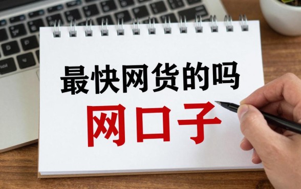 最快下款的网贷新口子有哪些,2024年最新下款快的网贷平台推荐