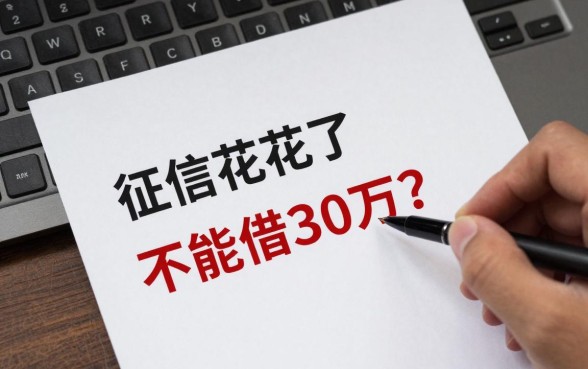 征信花了怎么能借30万?哪些平台容易下款?